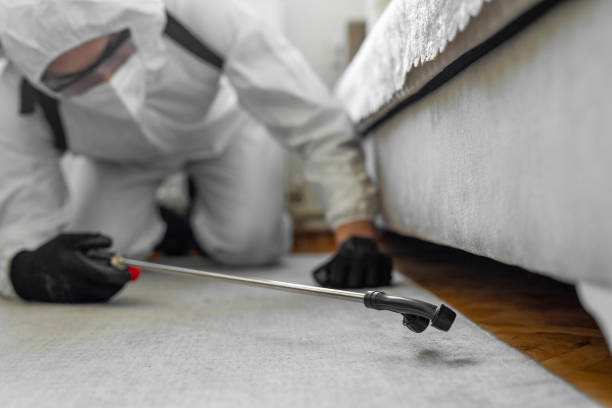 Professional Pest Control technician working in Sandstone, MN