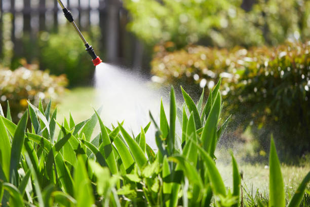 24/7 Emergency Fumigation Services experts in Sandstone, MN