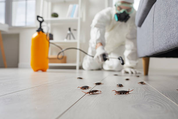 Trusted Fumigation Services service in Sandstone, MN - Nex Pest Control